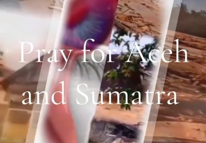Pray for Aceh and Sumatra Tetapkan Menjadi Bencana Nasional Usut Tuntas Ke Akar-Akarnya