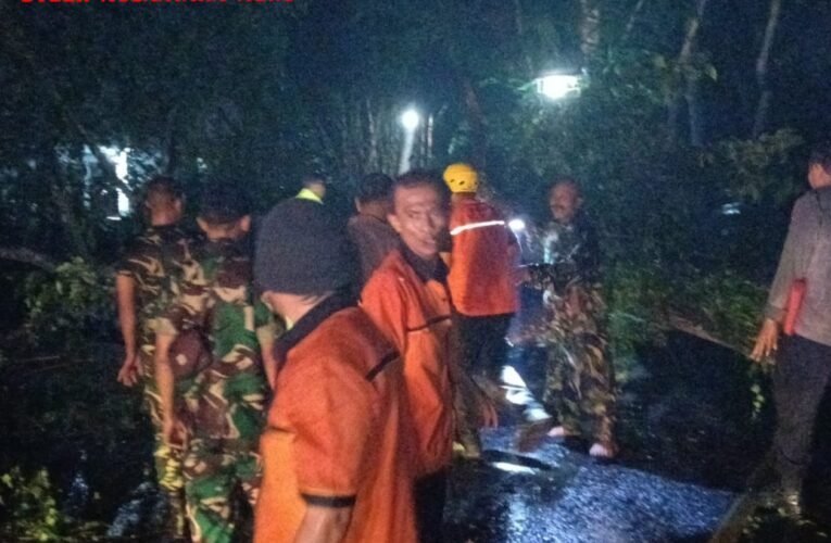 TNI dan Personel Gabungan Evakuasi Pohon Tumbang di Jalan Nasional Trenggalek