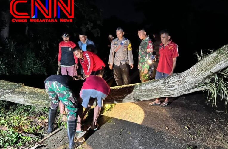 TNI-Polri Sigap Evakuasi Pohon Tumbang Akibat Cuaca Ekstrem di Trenggalek
