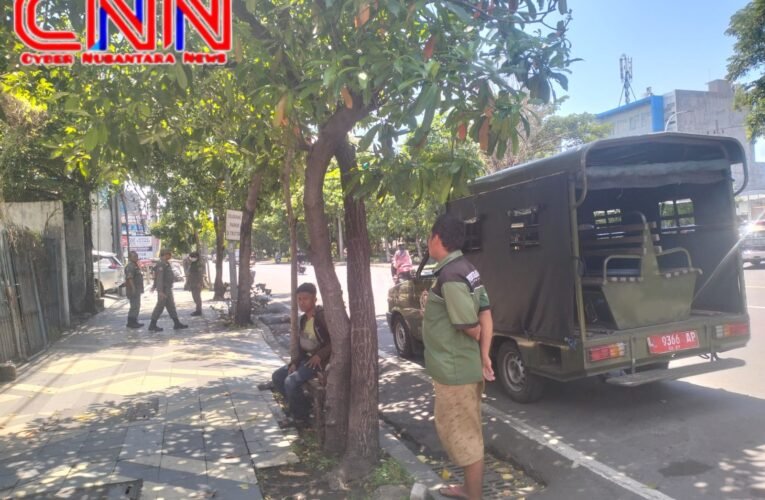 Diduga Tebang Pilih, Penertiban Satpol PP Kecamatan Krembangan Tuai Sorotan