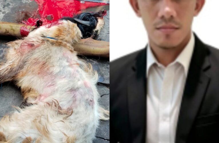 Jaga Sunnah dan Kebersamaan, Redaksi Harian Mata Berita Sembelih Hewan Qurban