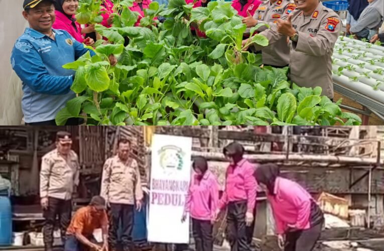Polsek Krembangan Bersama Bhayangkari Perkuat Ketahanan Pangan Nasional Lewat Panen Sawi dan Budidaya Lele