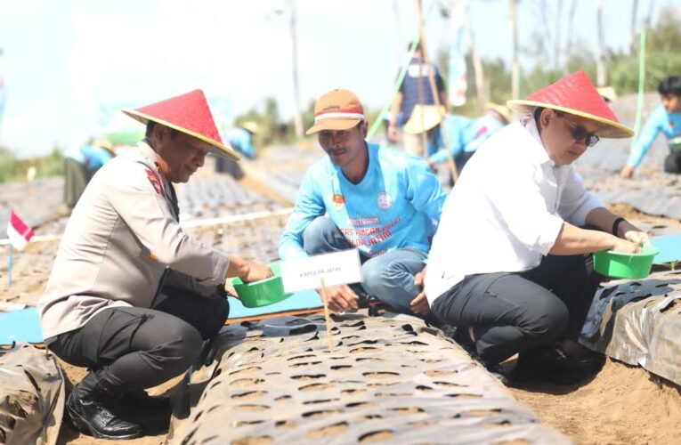 Dukung Swasembada Pangan, Polda Jatim dan Petani Tanam Bawang Putih Serentak