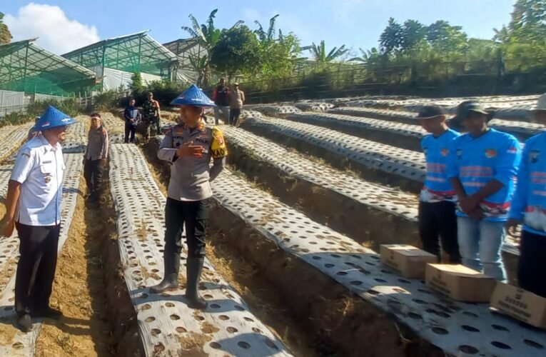 Percepat Swasembada Bawang Putih, Polres Pasuruan Gelar Penanaman Serentak di Tlogosari